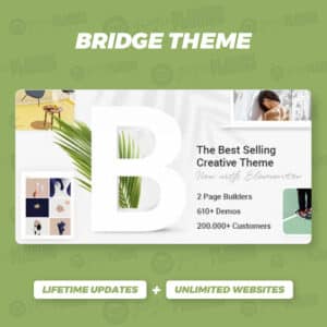 Bridge Theme