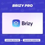 Brizy Pro